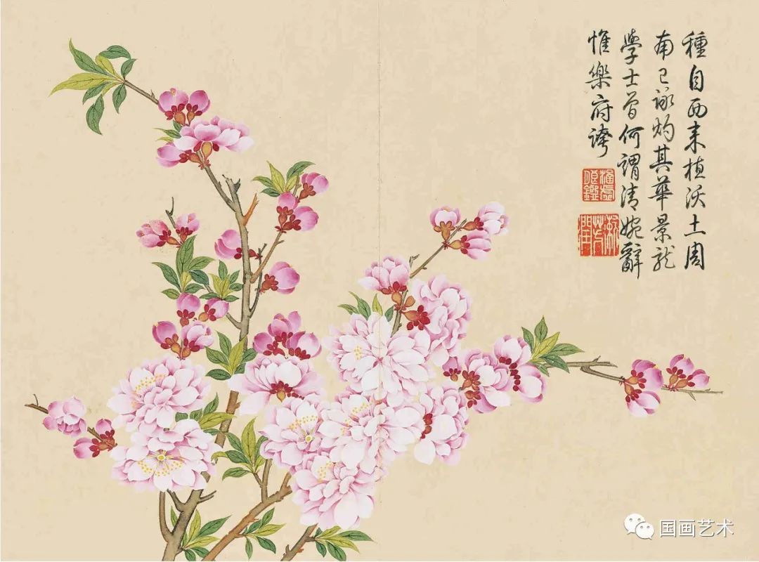 景龙#乾隆御题《钱维城花卉十二帧》册页欣赏