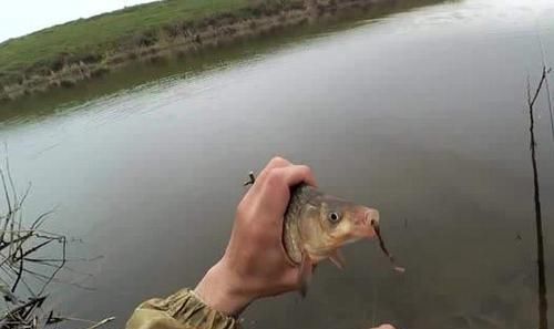 蚯蚓钓鱼使用小技巧,让钓鱼爱好者少走弯路