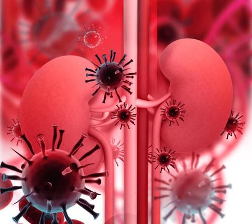 指标|预防尿毒症除了降肌酐，医生提醒：4项指标稳住，肾功能更有保障