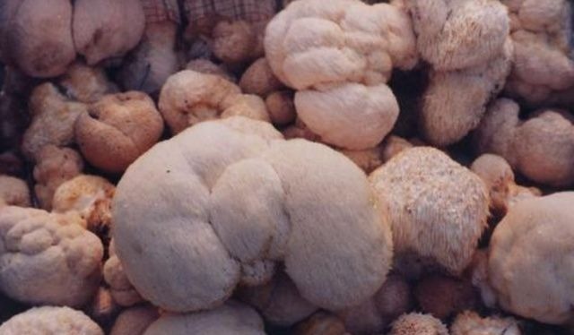 家长|14岁男孩停止发育,儿科:长也是1.6米左右,家长为无知买单