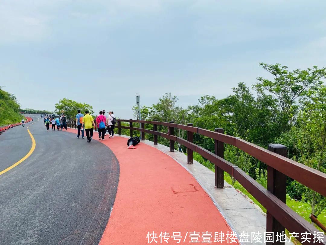 普陀最美公路螺塘线饱览海景，茶山还可以野炊拓展，好玩到炸裂