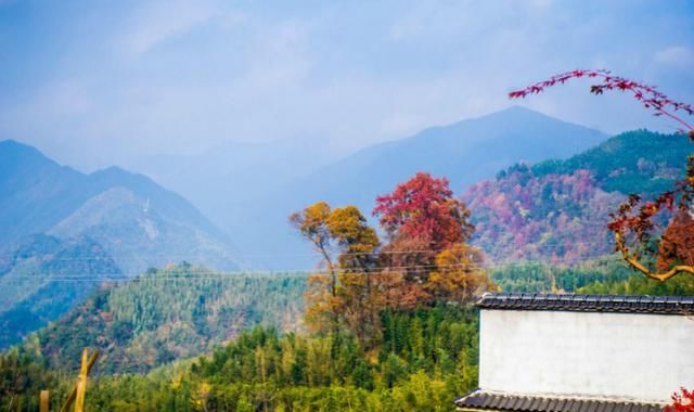 古民居|藏在浙江大山深处的千年古村，340余株红叶古树，美出天际！