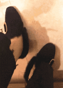 |搞笑GIF:买了双鞋子掉毛就认了,结果还自带染色功能