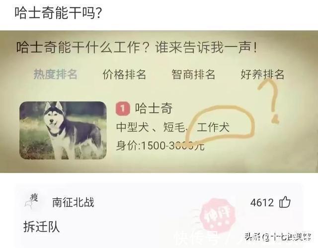 |搞笑合集:这是我的两位表弟,为人方正圆滑,想看看你们的表弟