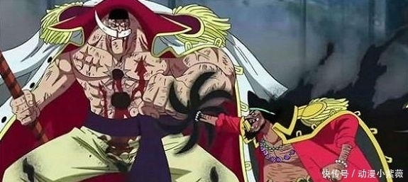 路飞|《海贼王》身高排行,自从看了海贼,楼都不觉得高了