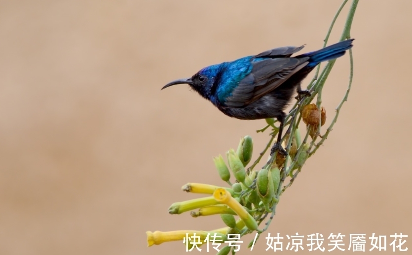 孔子曰&曾国藩:话不说死,事不做绝,情不断尽