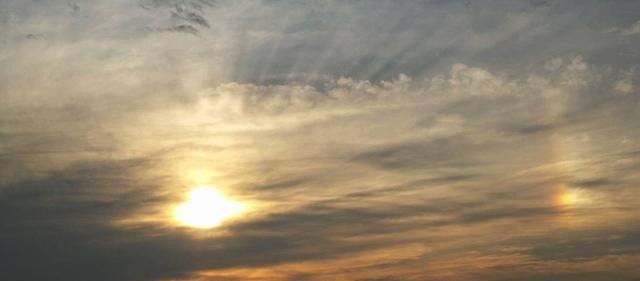 富人|竹苞松茂,百年沧桑此生看;谈古论今,光风霁月福泽长!