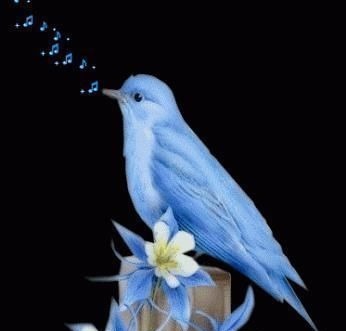 人心$良言20句,见证人心,看透人性看一次胜读十年书