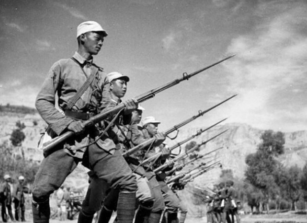 杀掉|抗日时危险程度最高的动物:哪怕只有一颗子弹也要杀掉它,不是军犬