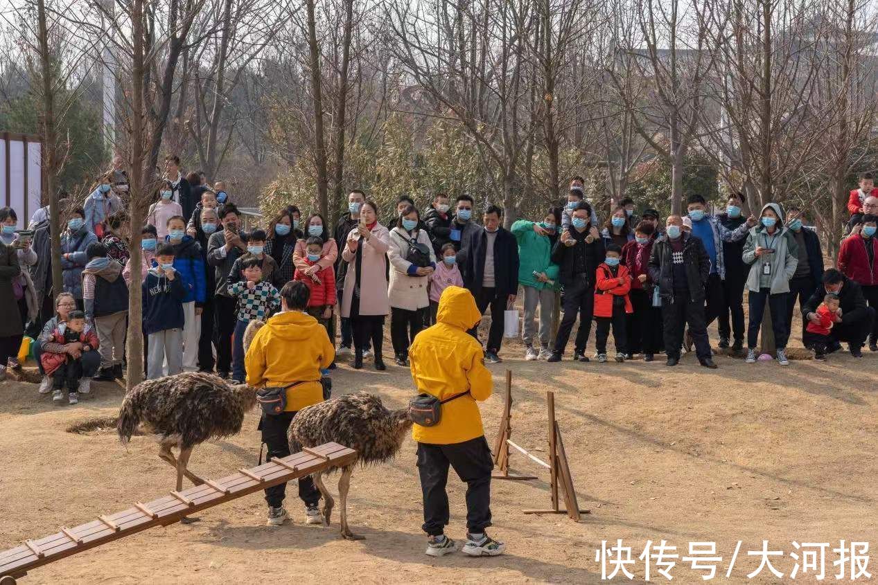 纸扇书生|民俗演艺+萌宠互动+绚丽灯光秀，郑州园博园带你感受浓浓年味儿