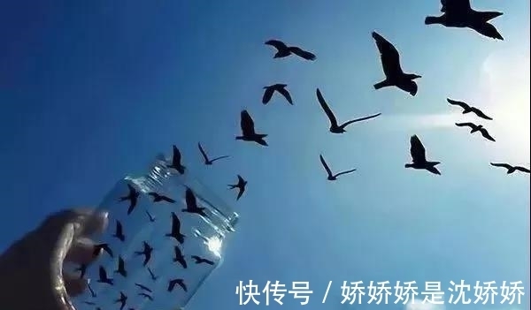 经验主义#你的眼睛捉弄了你，24张难以置信的照片