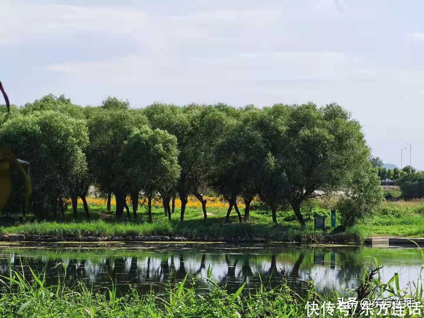 撒撒欢儿|四个月减了十公斤