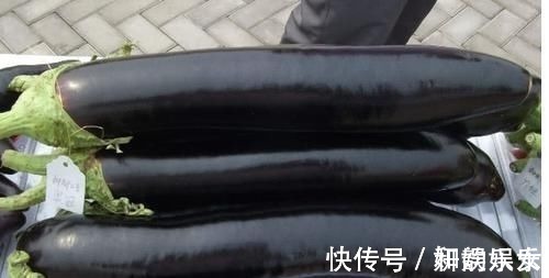 马兰头|有痔疮的人,不用动手术,常吃这些食物,痔疮慢慢就会消失