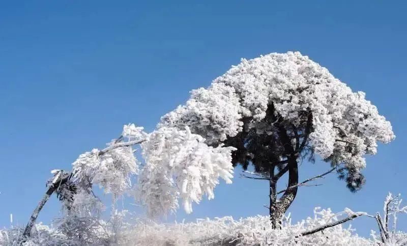 雪景如斯，大美汉江源