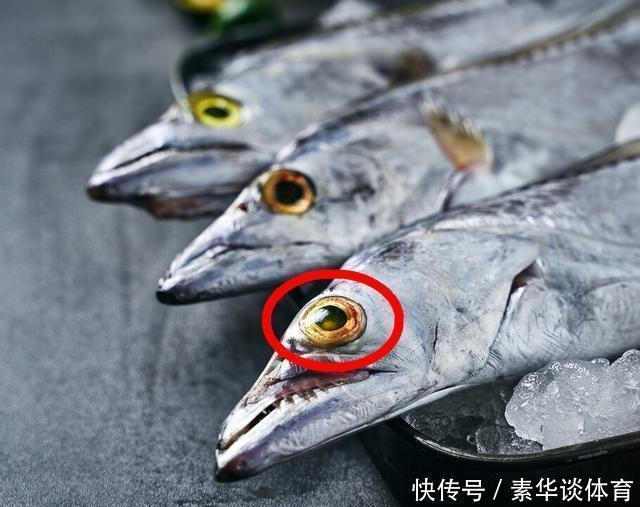 眼睛|买带鱼时,“黑眼睛”和“黄眼睛”哪个好?弄懂再买,少花冤枉钱