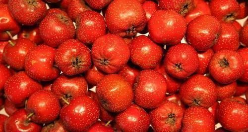 莲子|高血压的“克星”找到了，每天多吃点，血压或能“稳如泰山”！