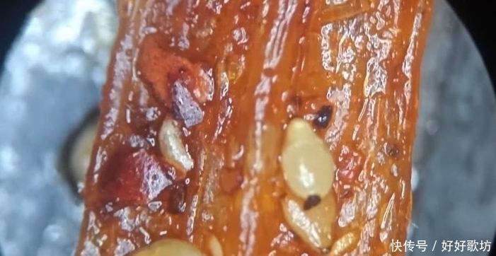 辣条|将辣条放大一百倍,发现了只小动物,网友:为啥辣条有肉