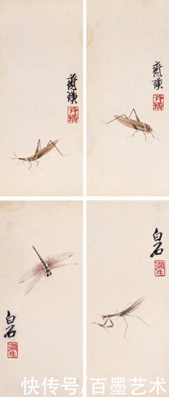 蝴蝶|齐白石草虫图200张,他把草虫画活了