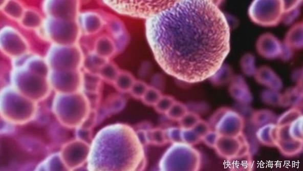幽门螺杆菌最怕4种食物，家中常备一点，可远离头痛的胃病