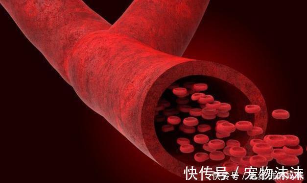 预防心脑血管疾病|想知道血管堵不堵,握紧拳头30秒,若有这1表现,或是血太浓了