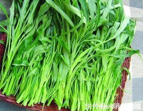 空心菜|它是“刮油王”,每天吃一回,肠道畅通,排出宿便,越吃越瘦
