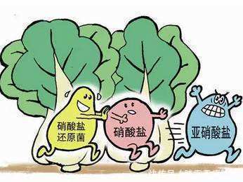 致癌的六种食物找到了,隔夜菜排在第四位,排在首位的经常吃