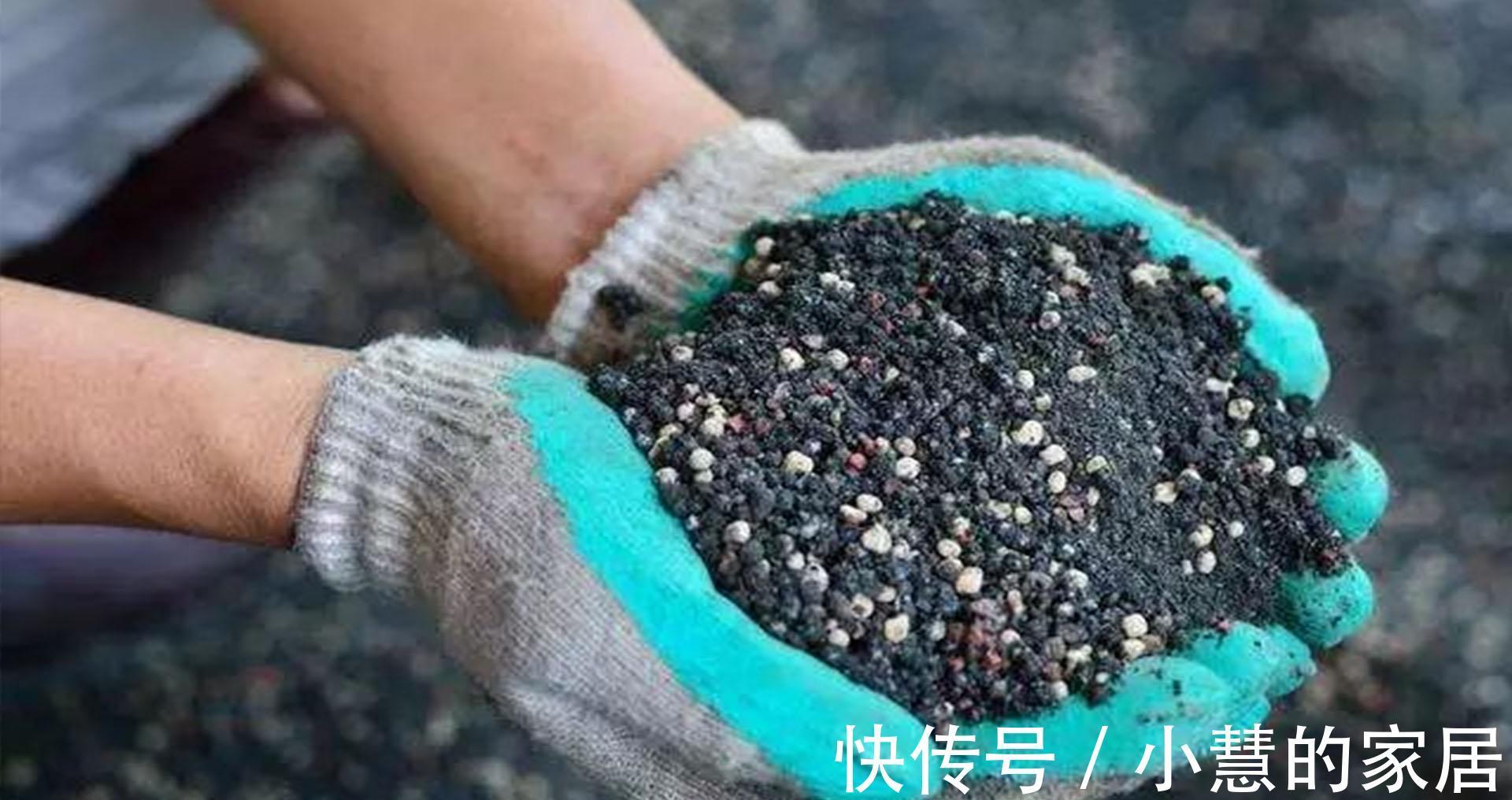 植株盆土板结不要着急,用2种方法,土壤疏松透气,种啥都好