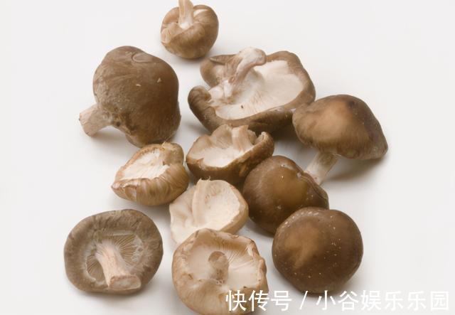 好吃|香菇分“上中下3种”,不要图便宜,不但没营养还不好吃