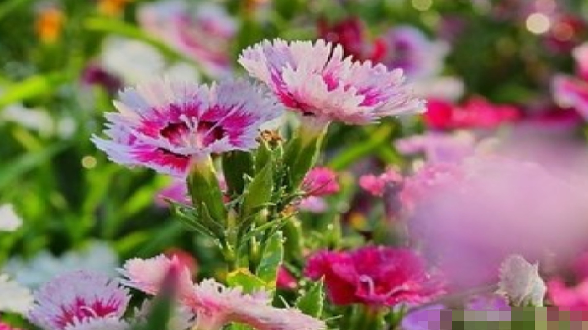 事业|出生这4个月的孩子,以后事业顺畅,还孝顺家人,看看有没有你