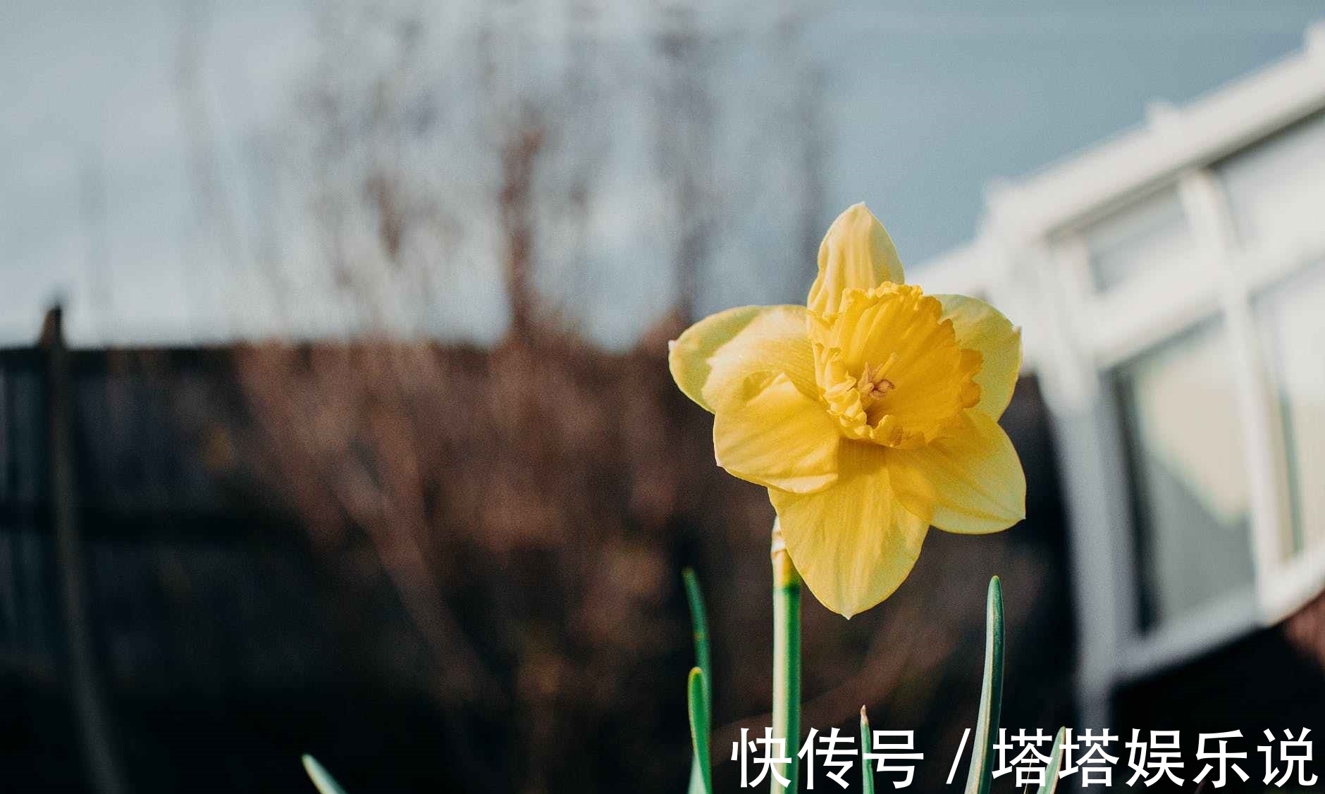 负重|世事无常，人穷别说话，位卑莫劝人