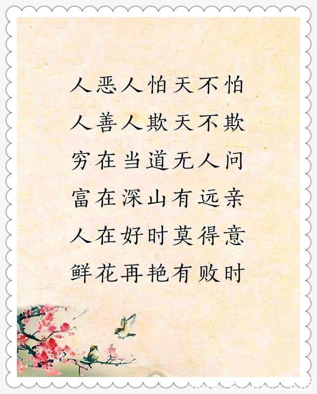 大智慧|老祖宗留下的金句，太经典了，句句都是大智慧