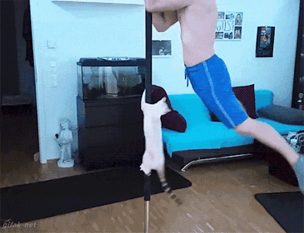 |搞笑GIF:帅哥拉弓的动作其实挺标准的,手里的东西是亮点!