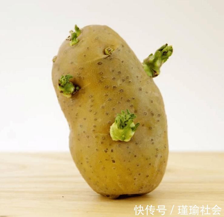 花生|生活小技巧：土豆，花生，红薯发芽后，到底还能不能吃？