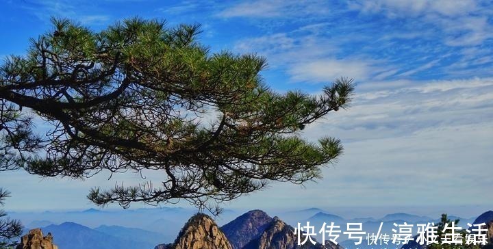 以“五绝”而享誉国际的天下第一奇山，为何游客总是会忽略掉一绝