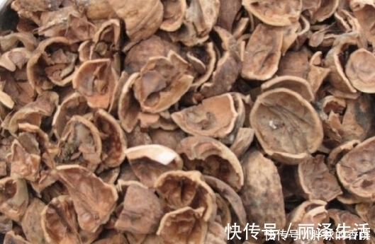 核桃壳|核桃壳不要扔了，用水煮一煮，能解决许多人的烦恼，大家来了解下