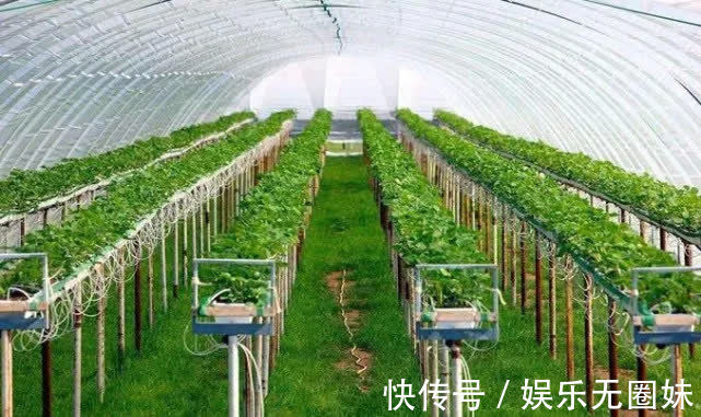 制造业|房地产不再吃香?未来十年,投资方向要发生改变了