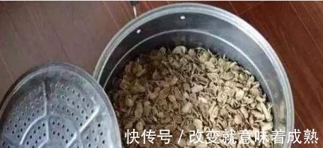 虎皮兰|3种没人要的“玩意”，捡一点养花，肥效好，还防冻！