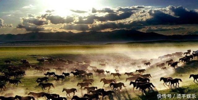 契丹族其实从未消失,800年后改了姓氏,你知道是哪个姓吗!