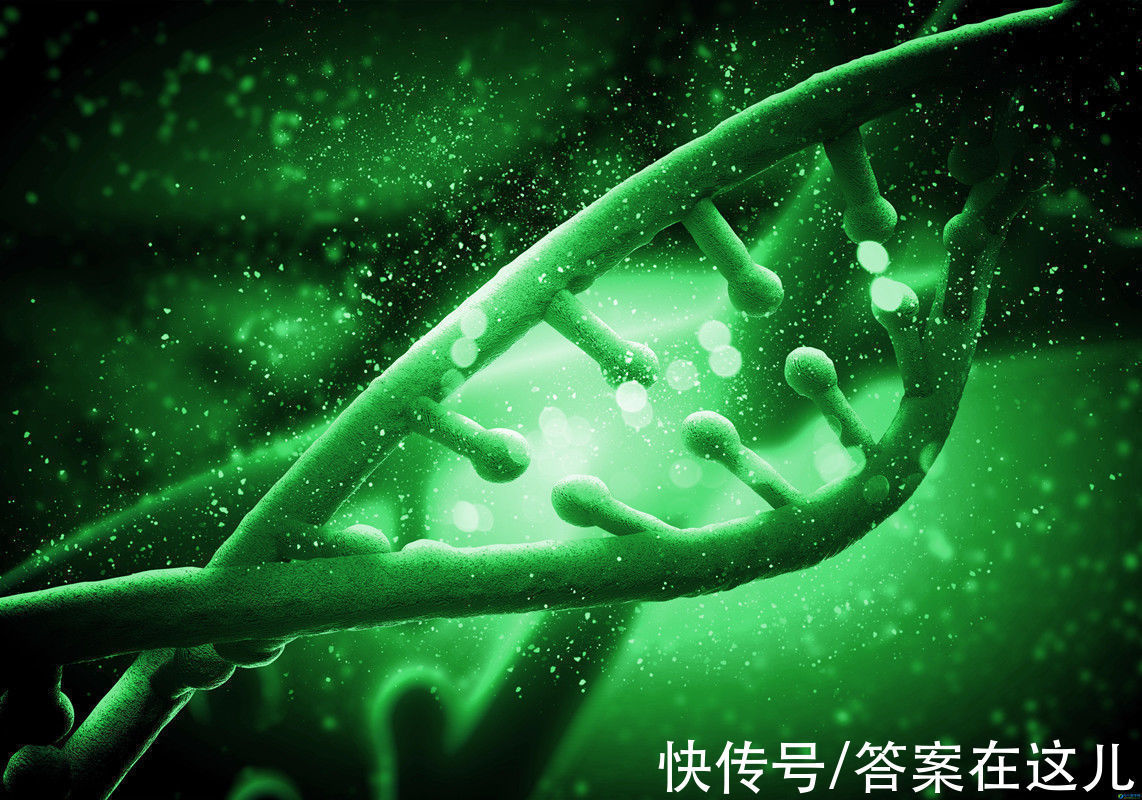 平均寿命@人类理论上能活1000岁,为何余下的900多岁,无故“消失”了?