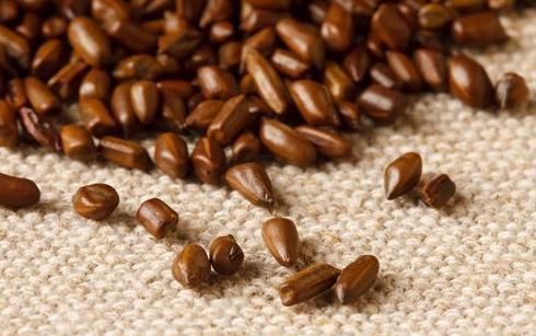 肝脏|枸杞有2个“好搭档”,将它们泡在一起坚持喝,给肝脏“洗个澡”