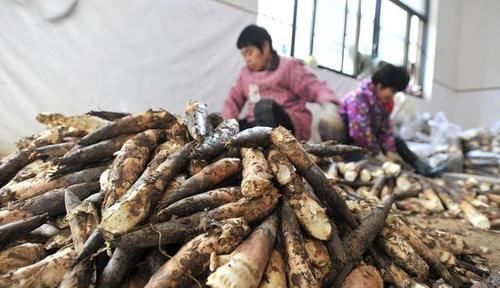 3月，这6种菜要焯水才能吃，很多人忽视，为了家人再懒别省这一步