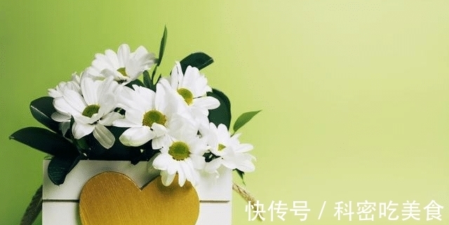 准婆婆|“儿媳,俺家贷款买房,你家装修还房贷”“房产证可没有俺名字”