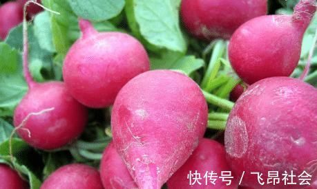 白萝卜青萝卜红萝卜区别大,营养做法都不同,不懂别乱吃了