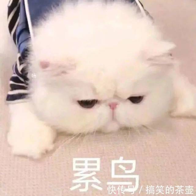 |十条笑话:媳妇把家翻个底朝天,终于在地板下翻到一张银行卡