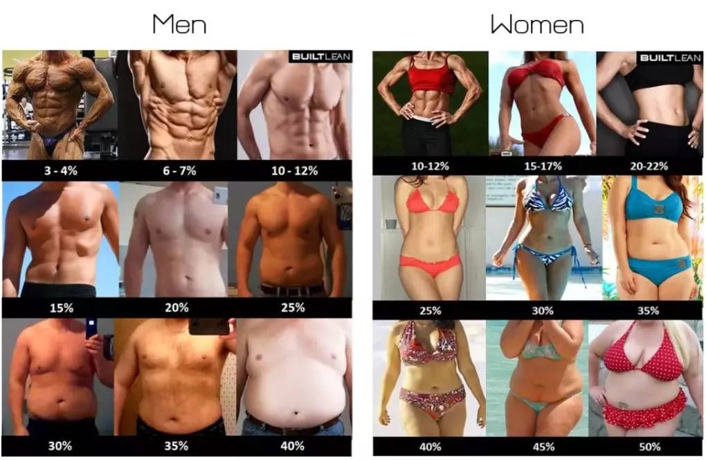 运动|体脂率要到多少才有腹肌？看一张图就知道了