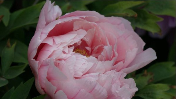  名言|老祖宗传下的3句名言，四十岁前读懂，少奋斗二十年