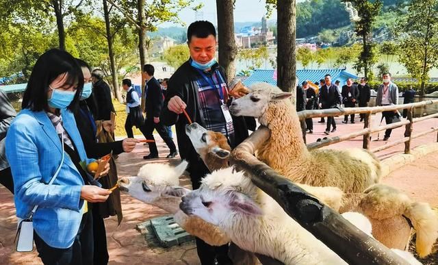 踩线|神韵随州 一见钟情--随州市文化旅游产业发展大会活动集锦