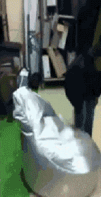 |搞笑GIF:长点心吧 对面住的可都是单身汉啊