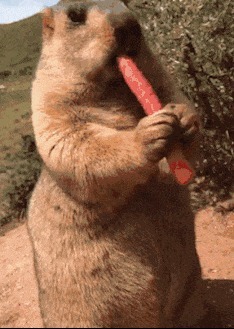 |搞笑GIF趣图:女朋友太爱玩,好想装作不认识她!