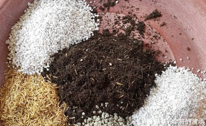 花土|养花选土,注意这些小事情,新人秒变老手,养啥旺啥